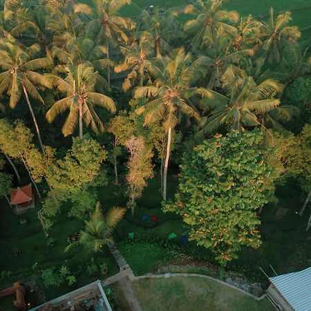 Bali Made Escape Hotel Payangan Екстериор снимка