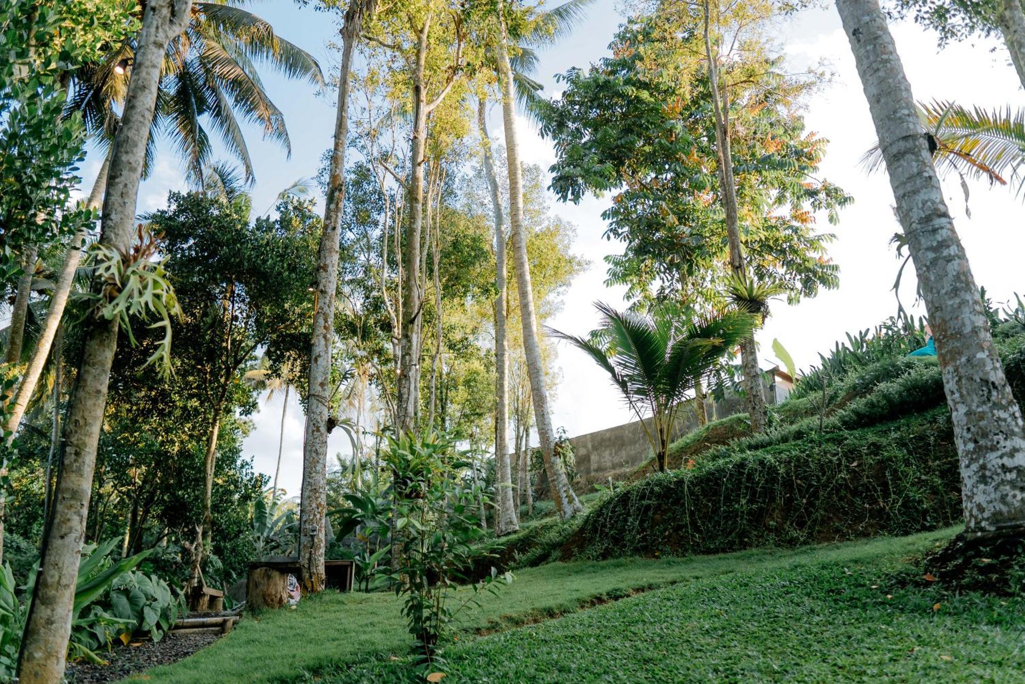 Bali Made Escape Hotel Payangan Екстериор снимка
