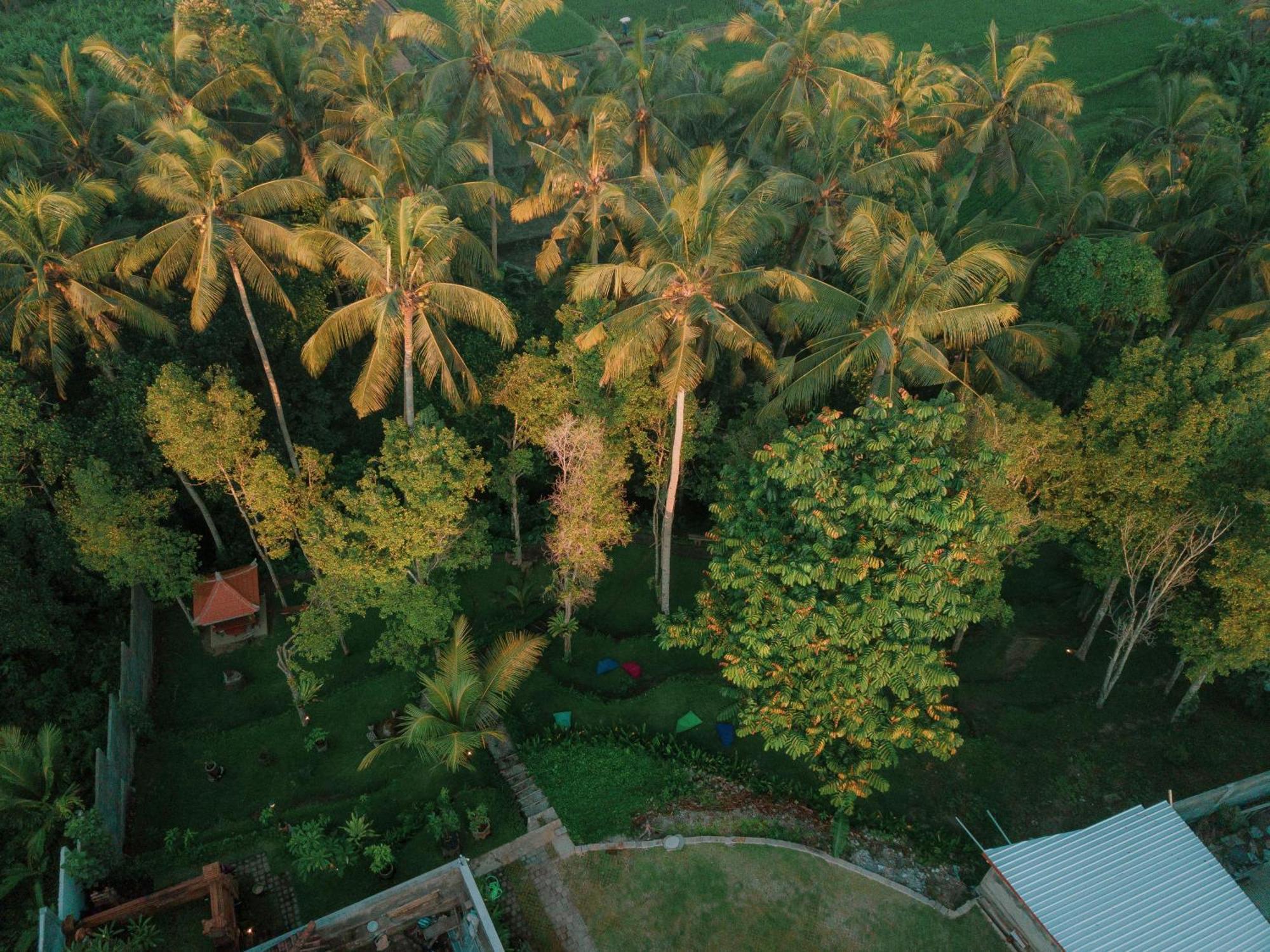 Bali Made Escape Hotel Payangan Екстериор снимка